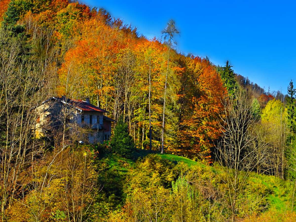 Un cascinale sotto Trivero (BI)